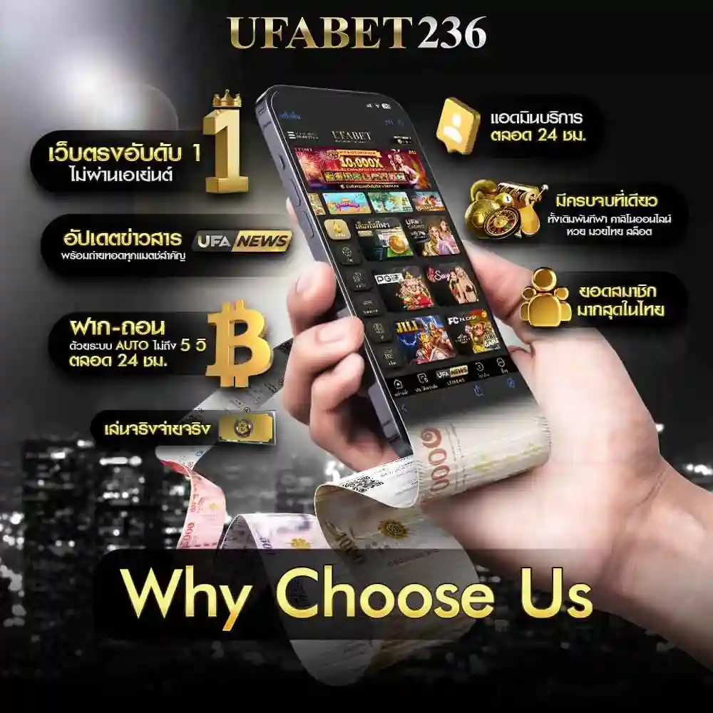 Why Choose Us