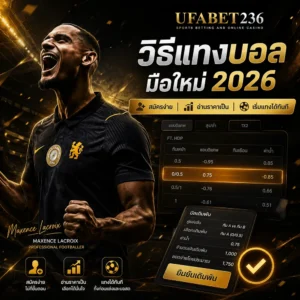 วิธีแทงบอล มือใหม่ 2026 เริ่มแทงได้ทันที